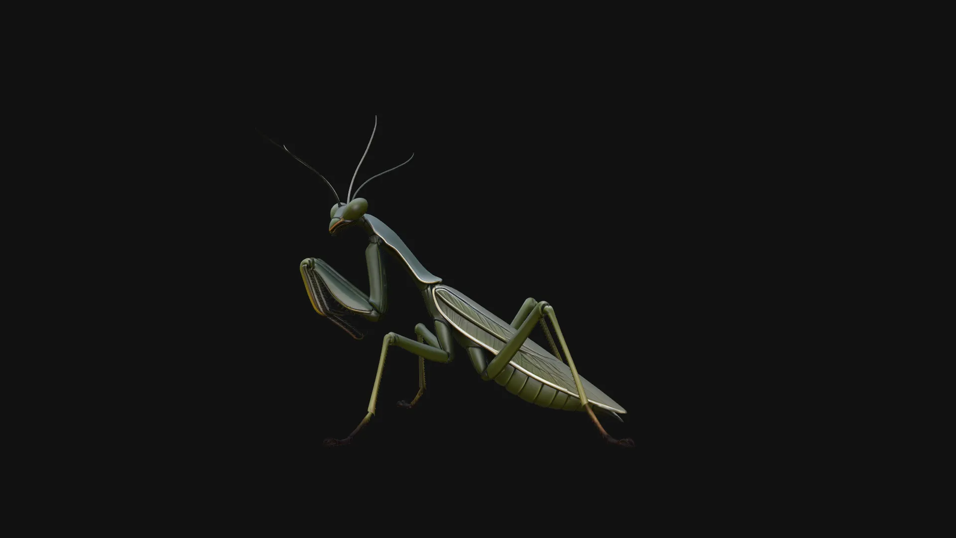 Praying Mantis Statue Design 2 - 3D Print Model 3D Print Model .c4d .max .obj .3ds .fbx .stl .blend 