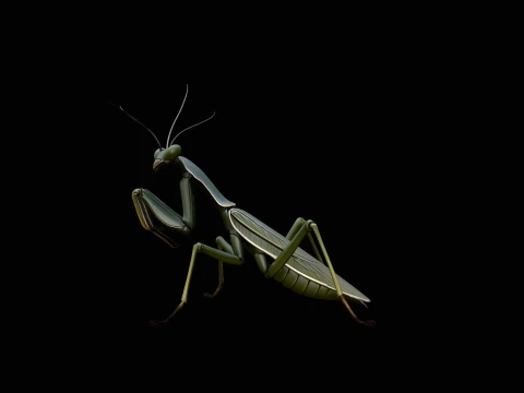 Praying Mantis Statue Design 2 - 3D Print Model 3D Print Model