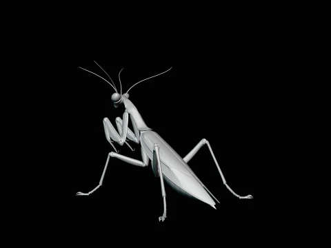 Praying Mantis Statue Design 2 - 3D Print Model 3D Print Model