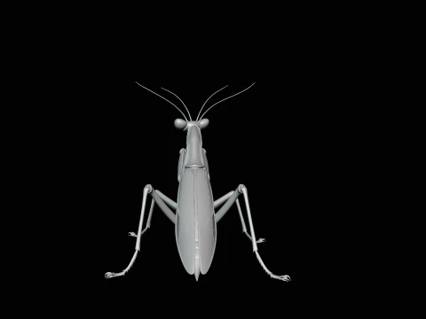 Praying Mantis Statue Design 2 - 3D Print Model 3D Print Model