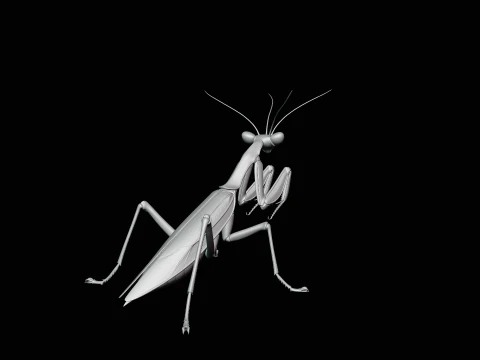 Praying Mantis Statue Design 2 - 3D Print Model 3D Print Model