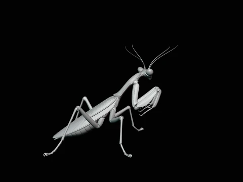 Praying Mantis Statue Design 2 - 3D Print Model 3D Print Model