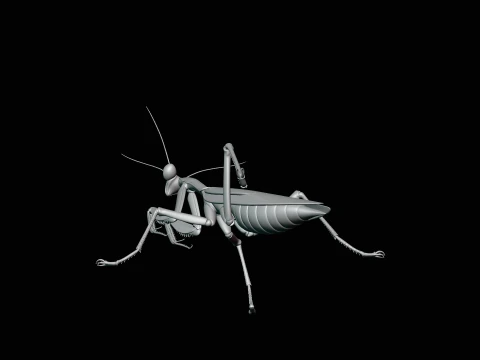 Praying Mantis Statue Design 2 - 3D Print Model 3D Print Model