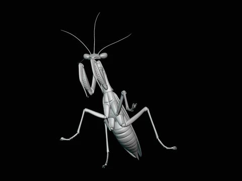 Praying Mantis Statue Design 2 - 3D Print Model 3D Print Model