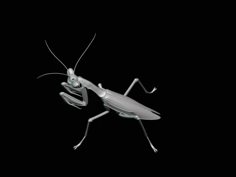 Praying Mantis Statue Design 2 - 3D Print Model 3D Print Model