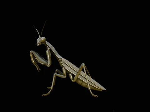 Praying Mantis Statue Design 3 - 3D Print Model Modèles 3D en vedette
