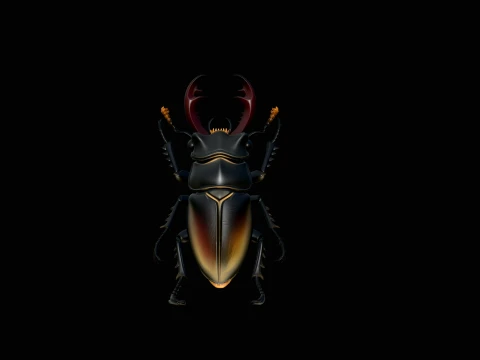 Stag Beetle Statue Design 1 - 3D Print Model 3D Print Model