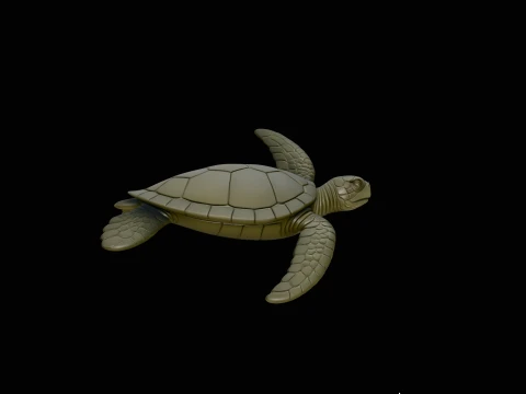 Sea Turtle Statue Design 3 - 3D Print Model 3D Print Model