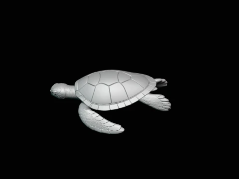 Sea Turtle Statue Design 4 - 3D Print Model 3D Print Model