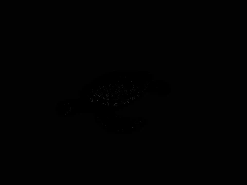 Sea Turtle Statue Design 4 - 3D Print Model 3D Print Model
