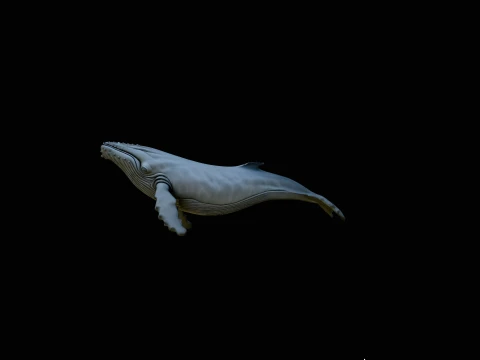 Humpback Whale Statue Design 3 - 3D Print Model 3D Print Model