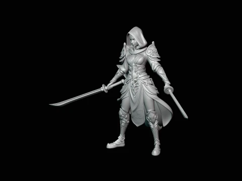 Hooded Dual Sword Assassin Statue Design 1 - 3D Print Model 3D Print Model
