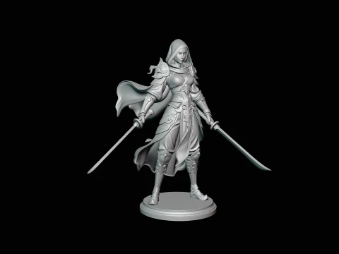 Hooded Dual Sword Assassin Statue Design 2 - 3D Print Model 3D Print Model