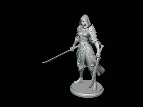 Hooded Dual Sword Assassin Statue Design 2 - 3D Print Model 3D Print Model