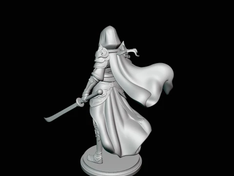 Hooded Dual Sword Assassin Statue Design 2 - 3D Print Model 3D Print Model