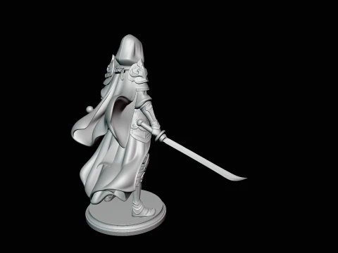 Hooded Dual Sword Assassin Statue Design 2 - 3D Print Model 3D Print Model