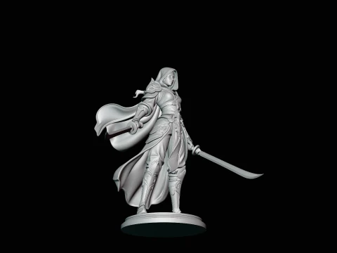 Hooded Dual Sword Assassin Statue Design 2 - 3D Print Model 3D Print Model