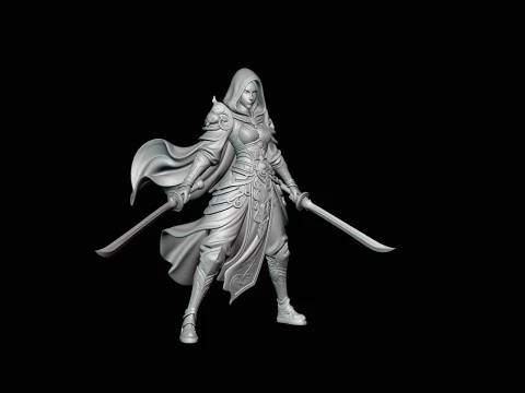 Hooded Dual Sword Assassin Statue Design 3 - 3D Print Model 3D Print Model