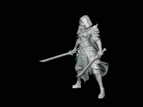 Hooded Dual Sword Assassin Statue Design 3 - 3D Print Model 3D Print Model
