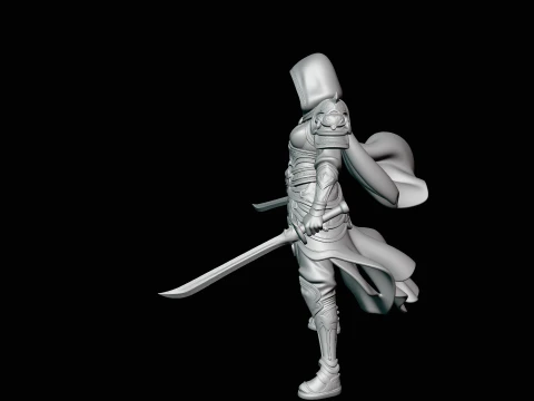 Hooded Dual Sword Assassin Statue Design 3 - 3D Print Model 3D Print Model