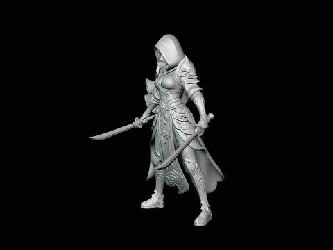 Hooded Dual Sword Assassin Statue Design 4 - 3D Print Model 3D Print Model