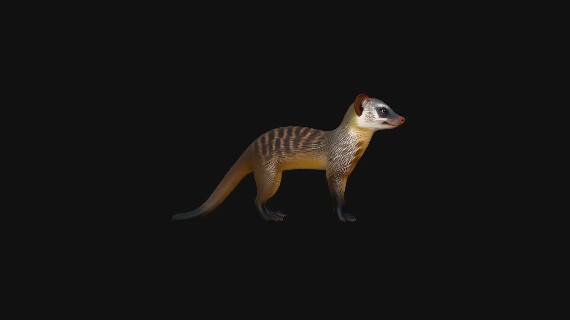 Banded Mongoose Statue Design 1 - 3D Print Model 3D Print Model .c4d .max .obj .3ds .fbx .stl .blend 