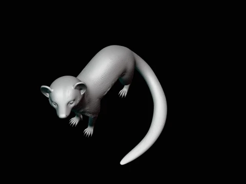 Banded Mongoose Statue Design 3 - 3D Print Model 3D Print Model
