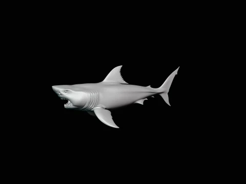 Great White Shark Statue Design 5 - 3D Print Model 3D Print Model