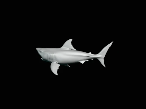 Great White Shark Statue Design 5 - 3D Print Model 3D Print Model
