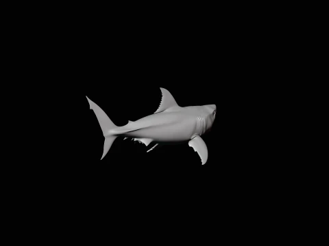 Great White Shark Statue Design 5 - 3D Print Model 3D Print Model