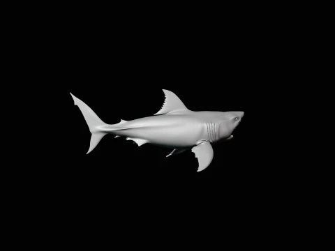 Great White Shark Statue Design 5 - 3D Print Model 3D Print Model