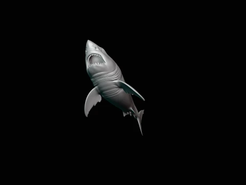 Great White Shark Statue Design 5 - 3D Print Model 3D Print Model