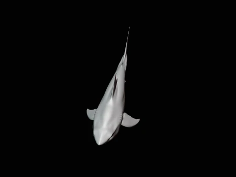 Great White Shark Statue Design 5 - 3D Print Model 3D Print Model