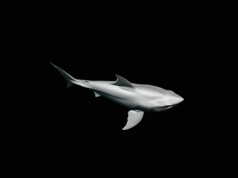 Great White Shark Statue Design 5 - 3D Print Model 3D Print Model