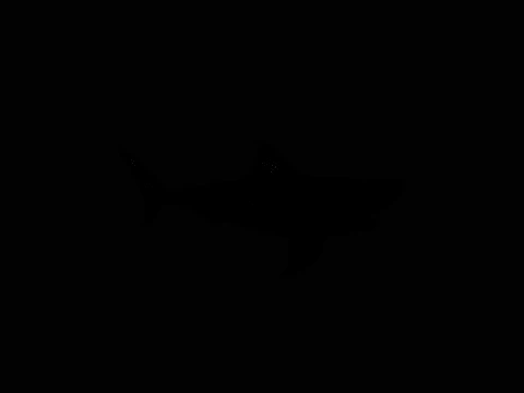 Great White Shark Statue Design 5 - 3D Print Model 3D Print Model