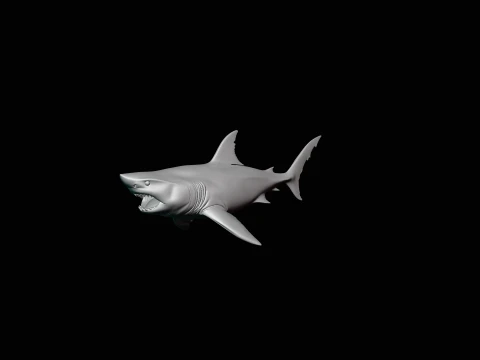 Great White Shark Statue Design 7 - 3D Print Model 3D Print Model