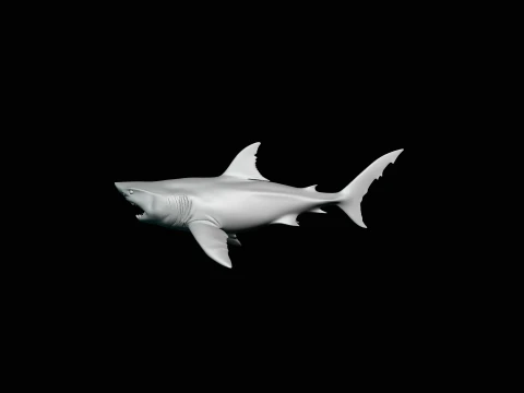 Great White Shark Statue Design 7 - 3D Print Model 3D Print Model