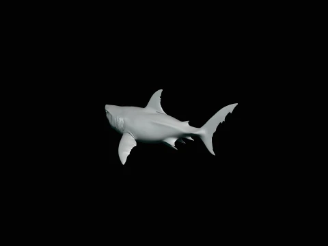 Great White Shark Statue Design 7 - 3D Print Model 3D Print Model