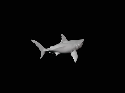 Great White Shark Statue Design 7 - 3D Print Model 3D Print Model