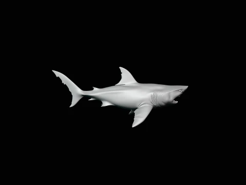Great White Shark Statue Design 7 - 3D Print Model 3D Print Model