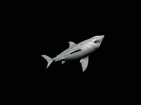 Great White Shark Statue Design 7 - 3D Print Model 3D Print Model