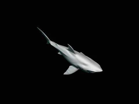 Great White Shark Statue Design 7 - 3D Print Model 3D Print Model