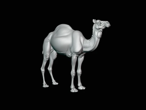 Dromedary Camel Statue Design 1 - 3D Print Model 3D Print Model