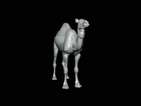 Dromedary Camel Statue Design 1 - 3D Print Model 3D Print Model