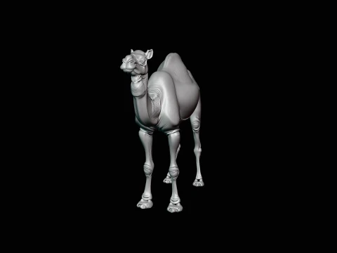 Dromedary Camel Statue Design 1 - 3D Print Model 3D Print Model