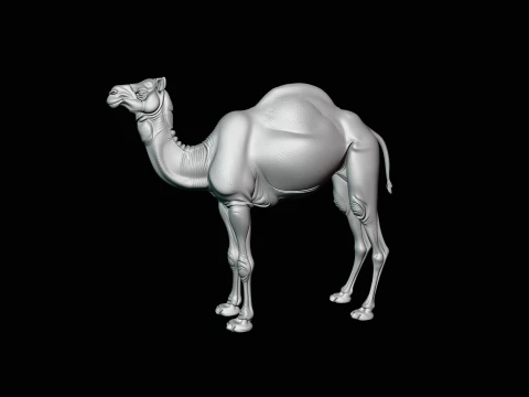 Dromedary Camel Statue Design 1 - 3D Print Model 3D Print Model