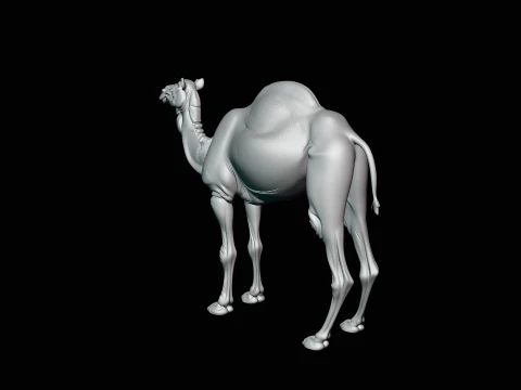 Dromedary Camel Statue Design 1 - 3D Print Model 3D Print Model