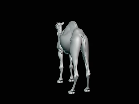 Dromedary Camel Statue Design 1 - 3D Print Model 3D Print Model