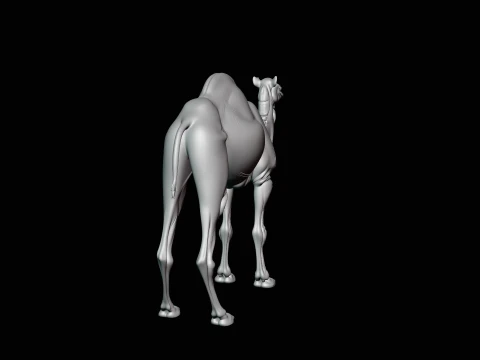 Dromedary Camel Statue Design 1 - 3D Print Model 3D Print Model