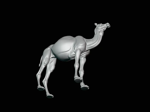 Dromedary Camel Statue Design 1 - 3D Print Model 3D Print Model